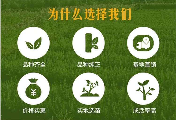 20230407/image/mfv1sni36qnvc25wcy4me. Jpg