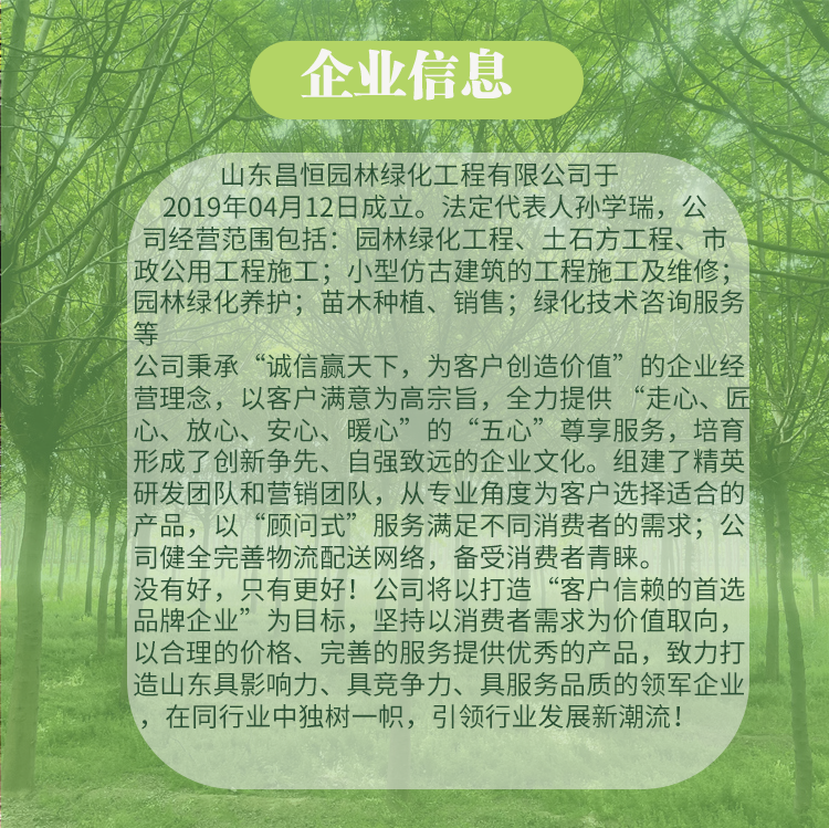 20230407/image/2pjs7xcq7eitab5ebl6jpg. Png