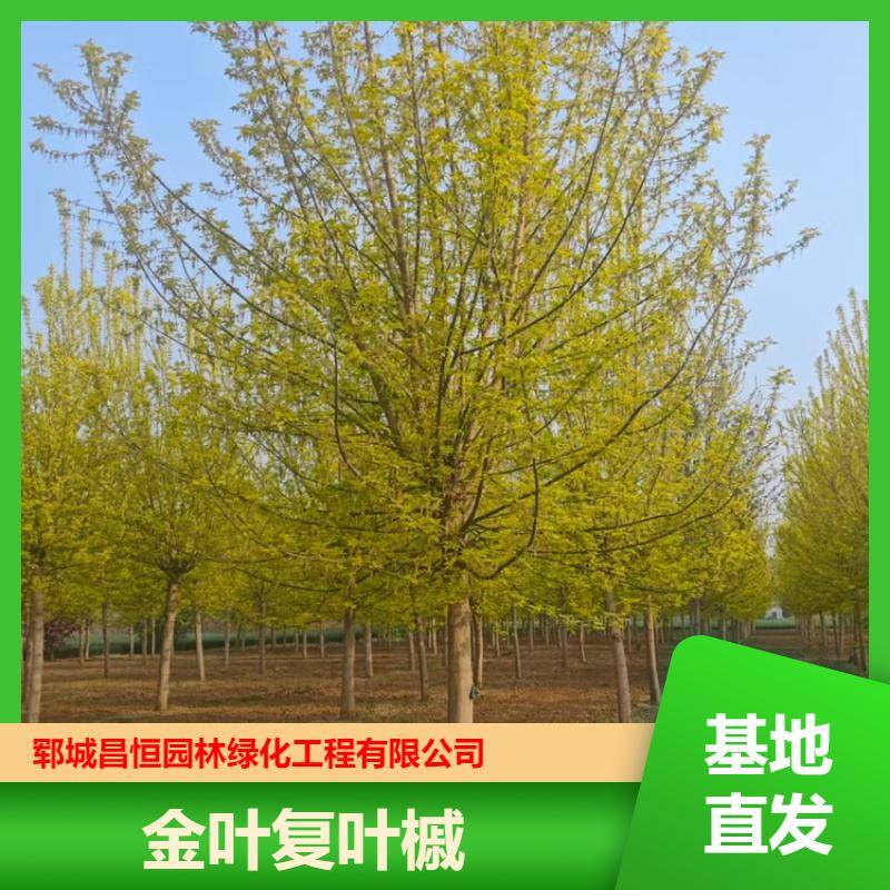 20250418/image/t5gc3kzbyv8yln282t3y65x1cs9kdvqkeu6rtekpqm8g7qwjyljokazfq5no. Jpg