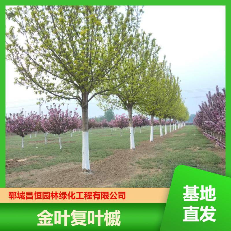 20250418/image/rkxxo4n5e30dru6upsvtas8qfkjw1ijzs bedzbevv1hcrvkkkkkbbp7wreej. Jpg