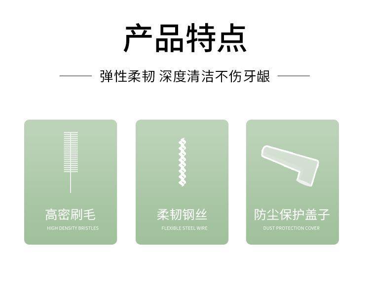 Toothbrush 1 04. Jpg