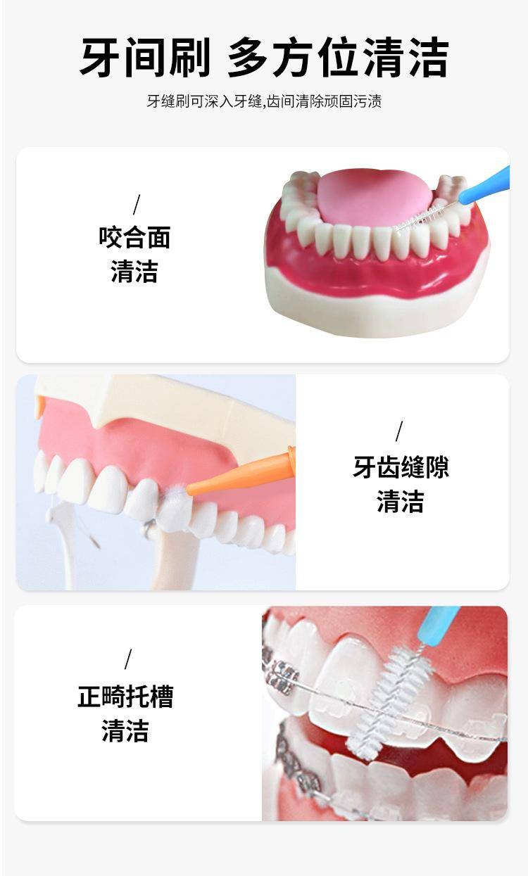 Toothbrush 1 05. Jpg