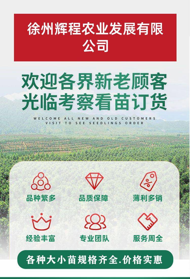 Detail pages/20250417/qhzubbu1dxesmlvuyah6eyoiwjriyyh3vkmisgquwz2jmtbie6l2wlypn. Jpg