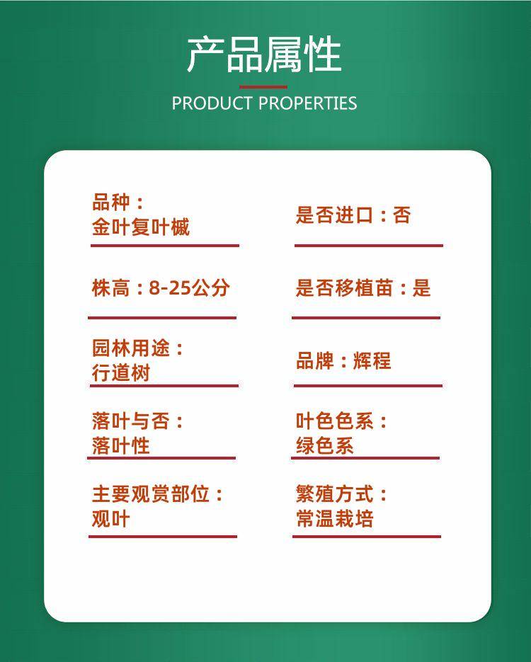 Decail pages/2020417/spixgkdqvsm3zgd3e2jdkortydk7aocall8pddxrmdazfifjroigdxctexq. Jpg