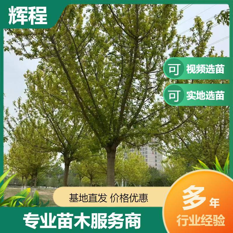 2020417/image/gmu7zgkmvthuc4g0nkqnw8cnvjs8vahk5pbyqvnxcwnaffnlzetudjzuse. Jpg