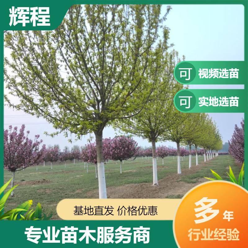 20250417/image/zawuhrpakitlvkkmdezeqwloh6xb1jlwsjuxheokbnn9c7azsnvixzs3ixxp. Jpg