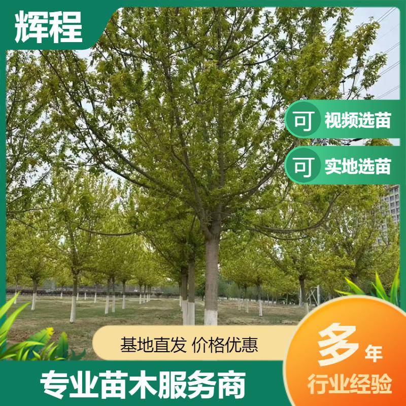 20250417/image/ifyoicqvwxl7qr7nu0vm5y3dhxz3qg8f13jrsiwjbr0>/i>x6wqy6c6b. Jpg