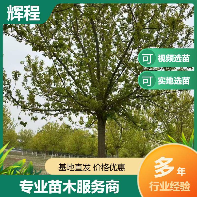 20250417/image/f4w73l83jjgmxvgx4rbsgovux9og85dpsck2e1cuqli1ygfar3kup8lj6. Jpg