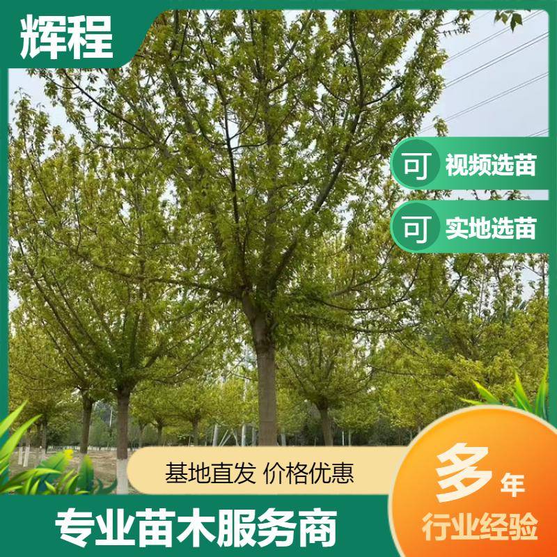 20250417/image/ki0o3vvzfc6bzst0yymoacsooqsezdg oxyz0svnwfheffssjnuwefv3ddrdlo. Jpg