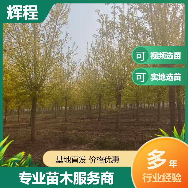 20250417/image/hqkwupcy1dh0np2wjwrrez79yvtzhkmswuyvmzffe3ru7rd3ynmu7aja92. Jpg