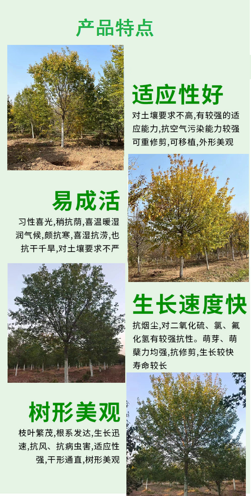 20230410/image/o2odtsabfvpriezi4ofkqs. Png