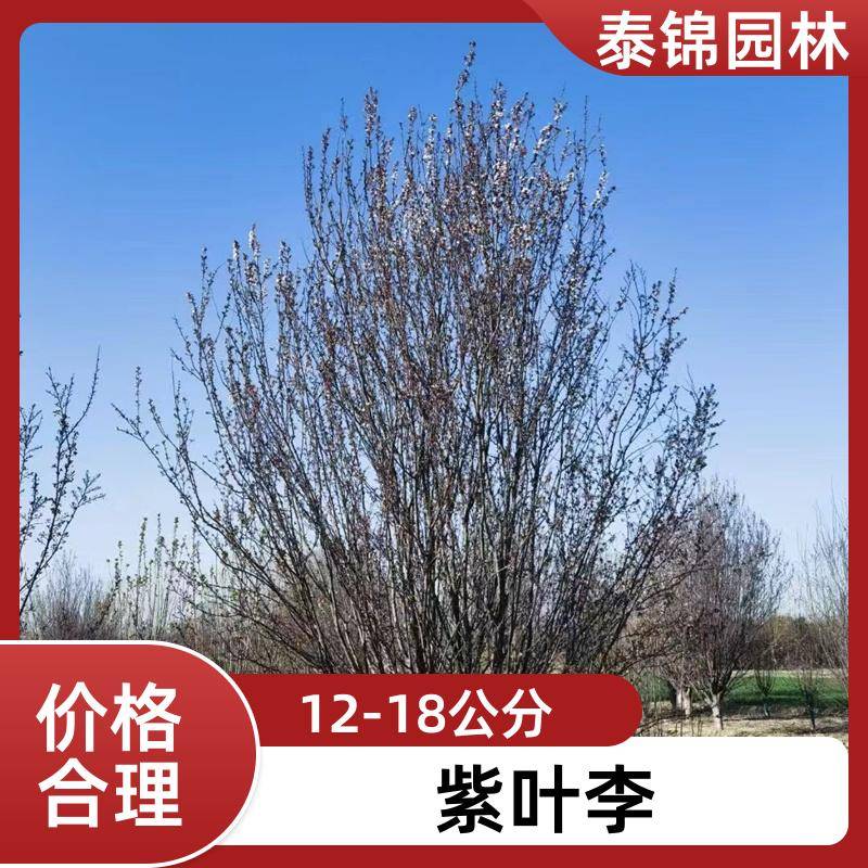 2020411/images/fwhotrgwmfnvtdtlkqnsbhpvz60cbywtaqveesr. Jpg