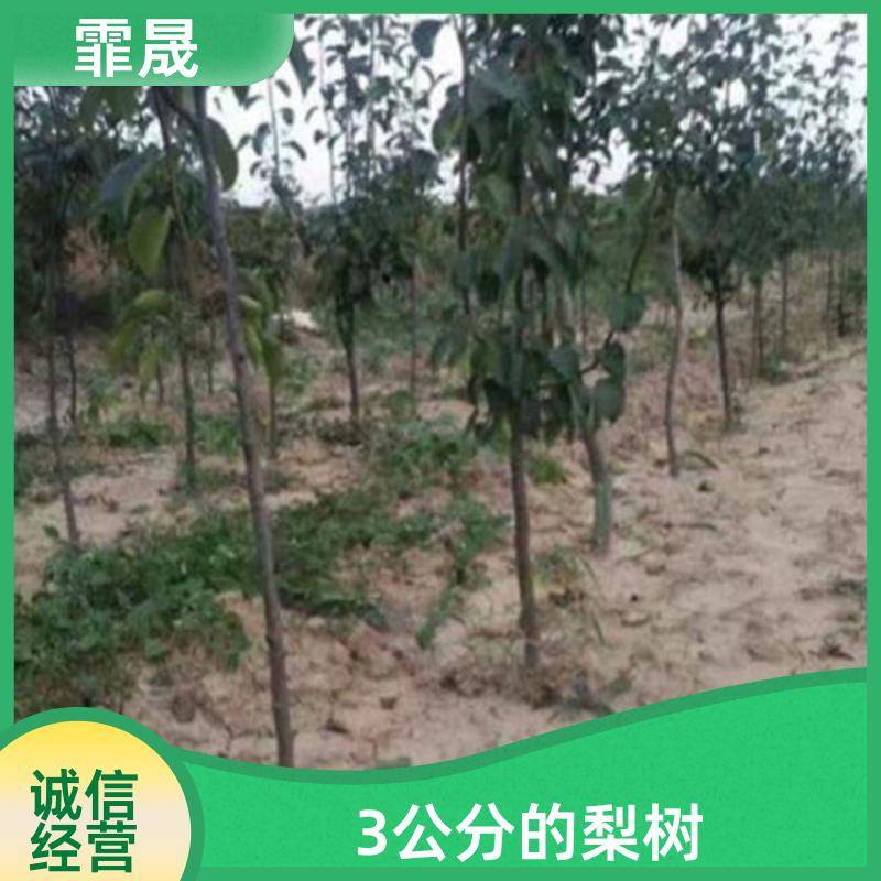 Image/879a636839c3978ad86602659f12fe84. Jpg