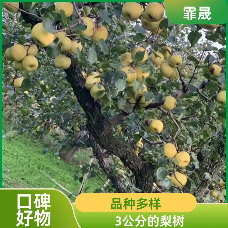 Ipage/69af7293b8fe1e6b8f7f27f7ecf5fb. Jpg