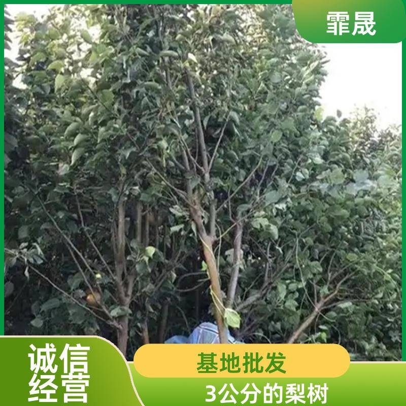 Image/9d1a679500b9ea1a1bd26a242695b4jpg