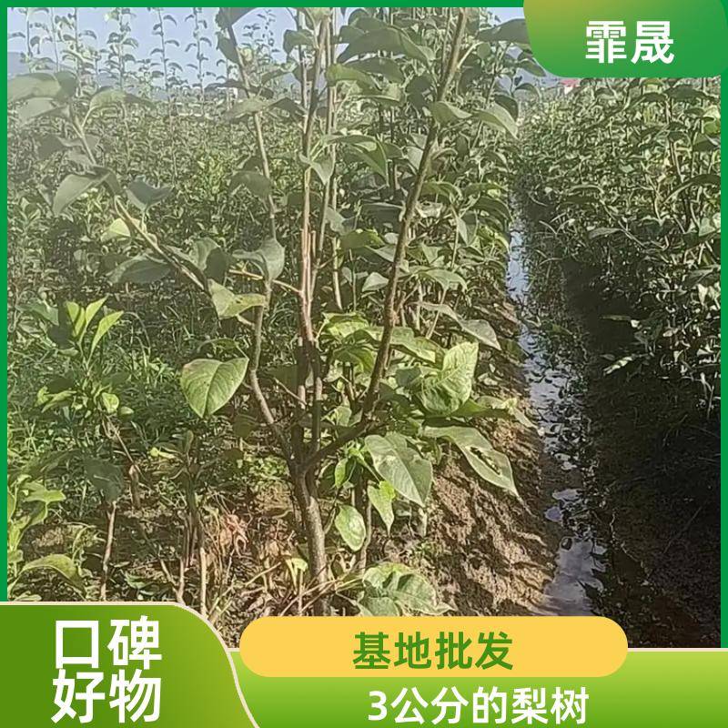 Image/645e89b40fc6a8ab1842baf06c4ed9cd. Jpg