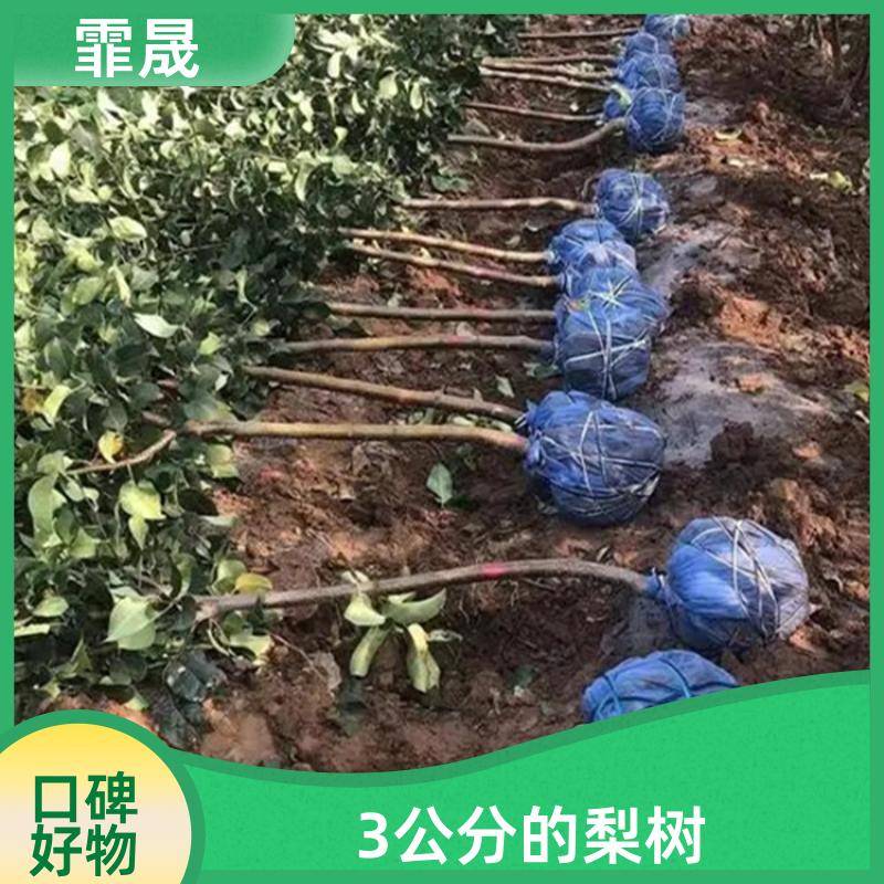 Image/1630d76d5c64b249738270a565f58e1. Jpg