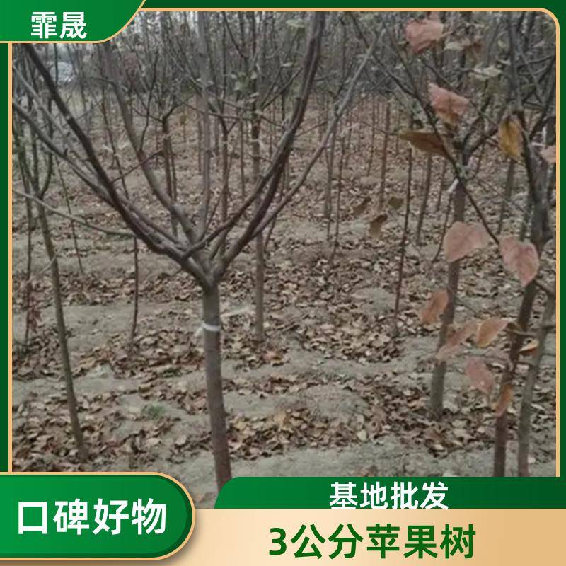 Ipage/d4a501dc325a993cdf3dc67ff40b64e. Jpg