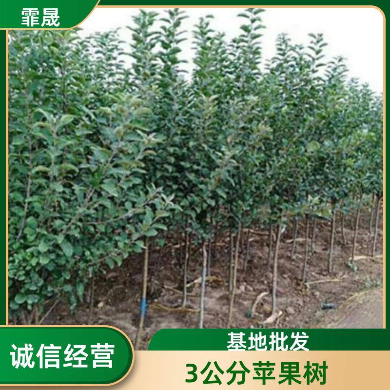 Image/d93afc10c7da32eec7473f80350dfe3. Jpg