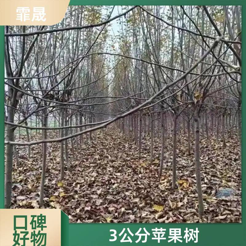 Mage/c449d25d22331bf3821e7043138c7fae. Jpg