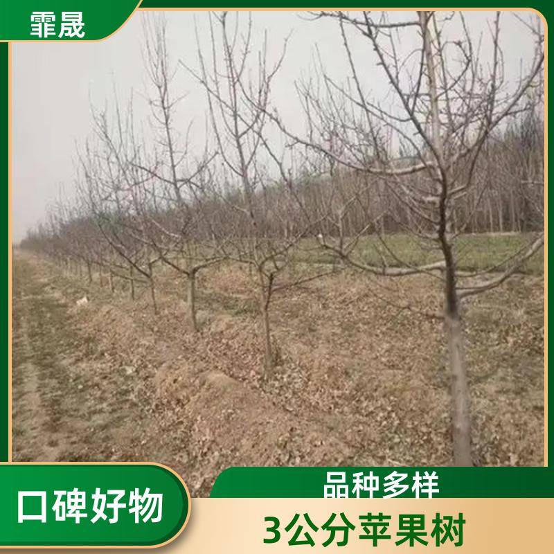 Ipage/1d9e4addfb41939805b00b66b84f168d0jpg