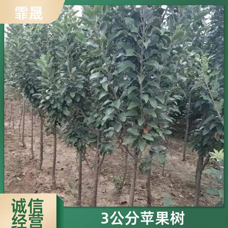 Image/255b342a4cde9369908441a69274c41. Jpg