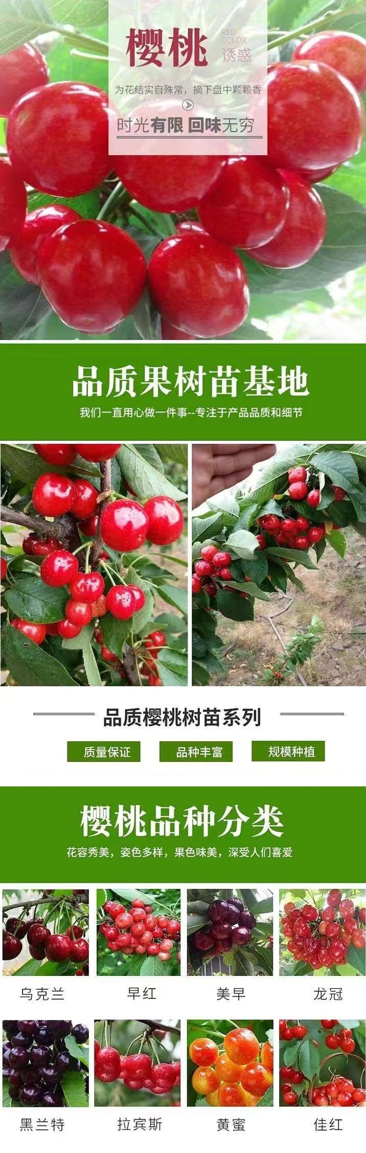 2020919/image/27pty5926n4mji2ewoe8ei. Jpg