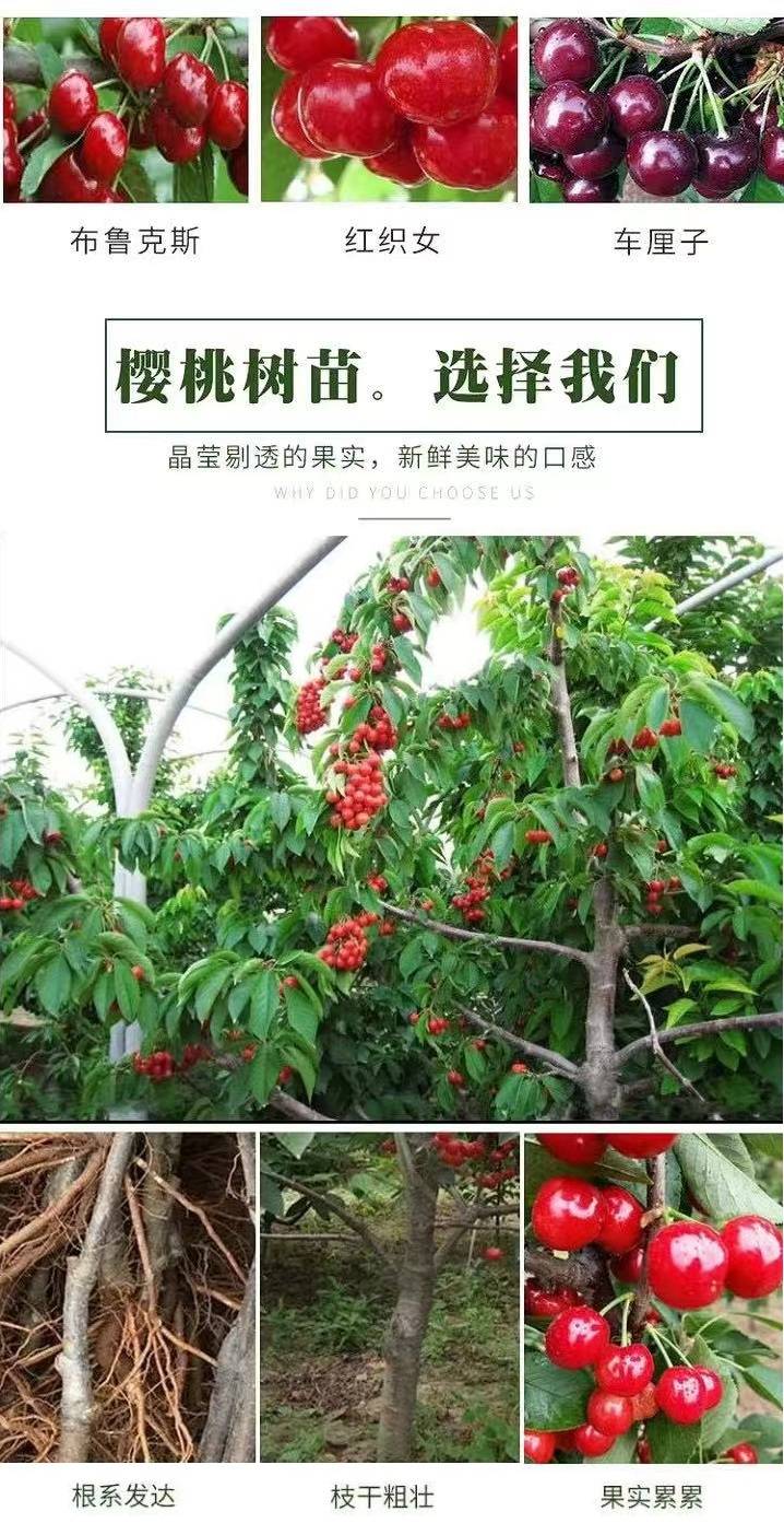 2020919/image/4cu1zkubc9kibf98c53r. Jpg