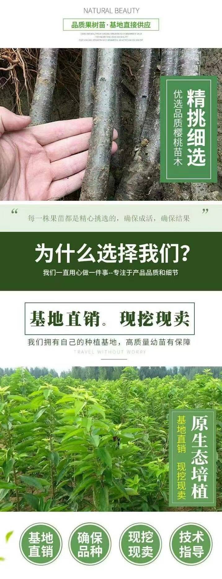 20230919/image/yqp4zczi9fjamjlim63s. Jpg