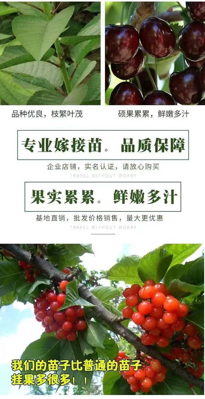 2020919/image/dk3ex3mkkv4m7k58pn43bk. Jpg