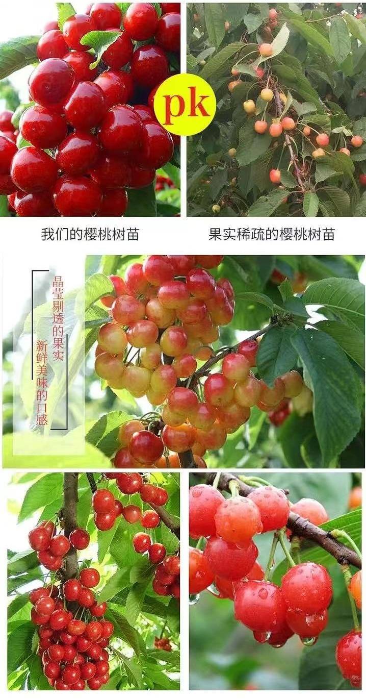 20230919/image/axawf0g5qsb4m3khksn. Jpg