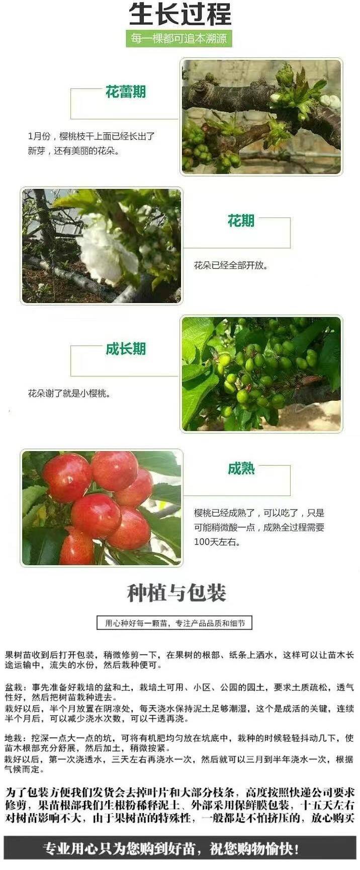 2020919/image/4scyv7djbkirjp1axhye6. Jpg