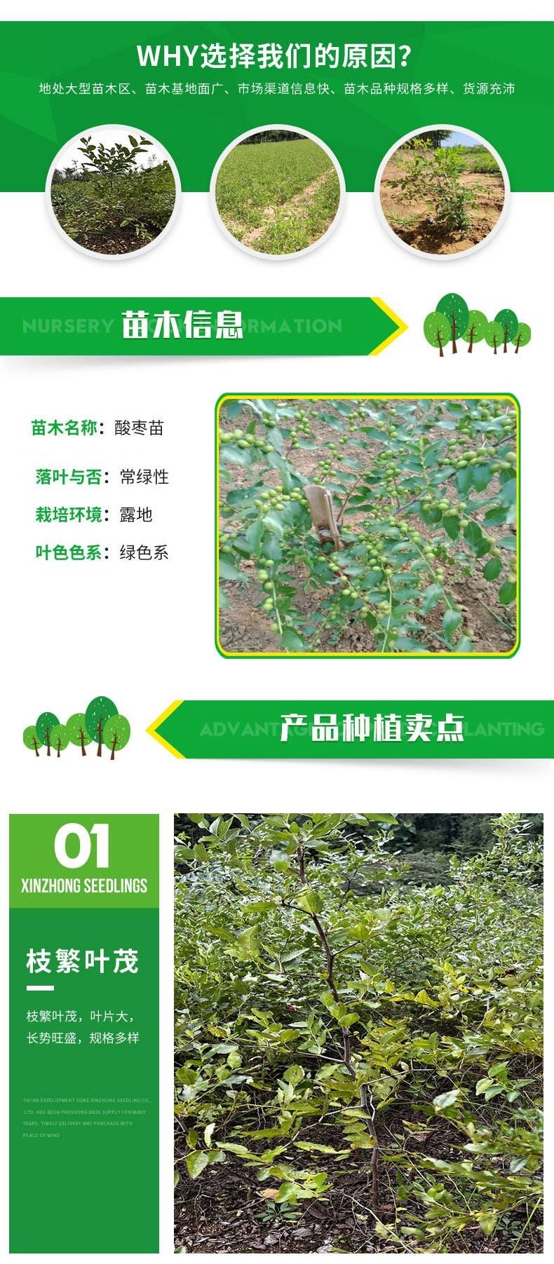 20231226/image/gfm1xuash7qh1qcb77hfdh. Jpg