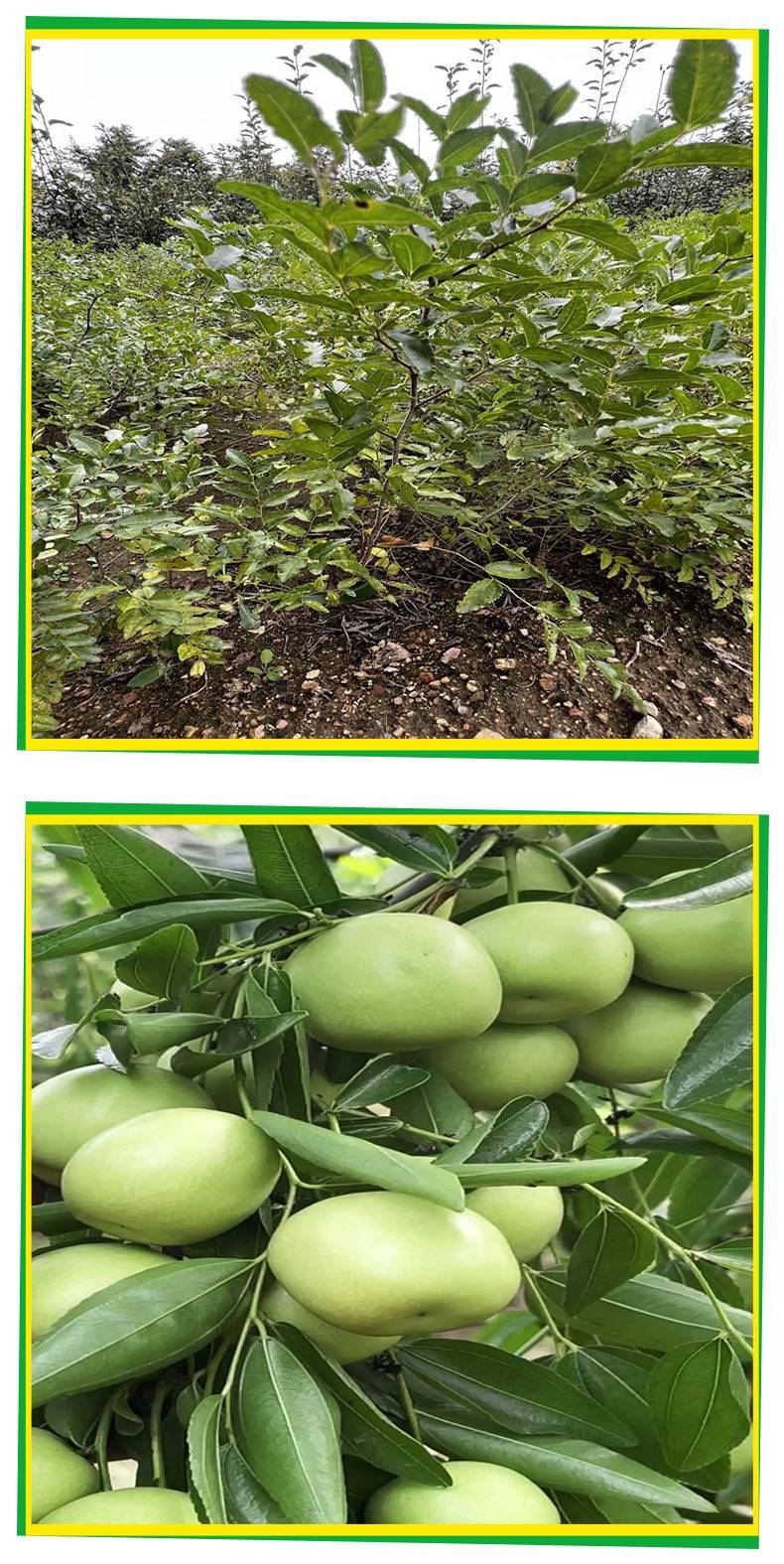 20231226/image/nxrpuz6l7bm2rktg7dyy. Jpg