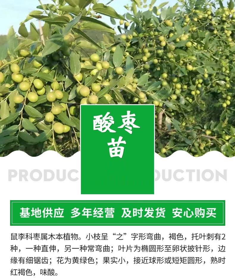 20231219/image/1rjp 926g7bi90r499vxk19. Jpg