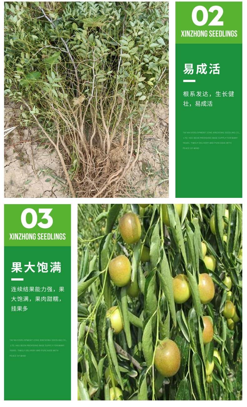 20231219/image/t7799uls8xdqktsglzq2b. Jpg