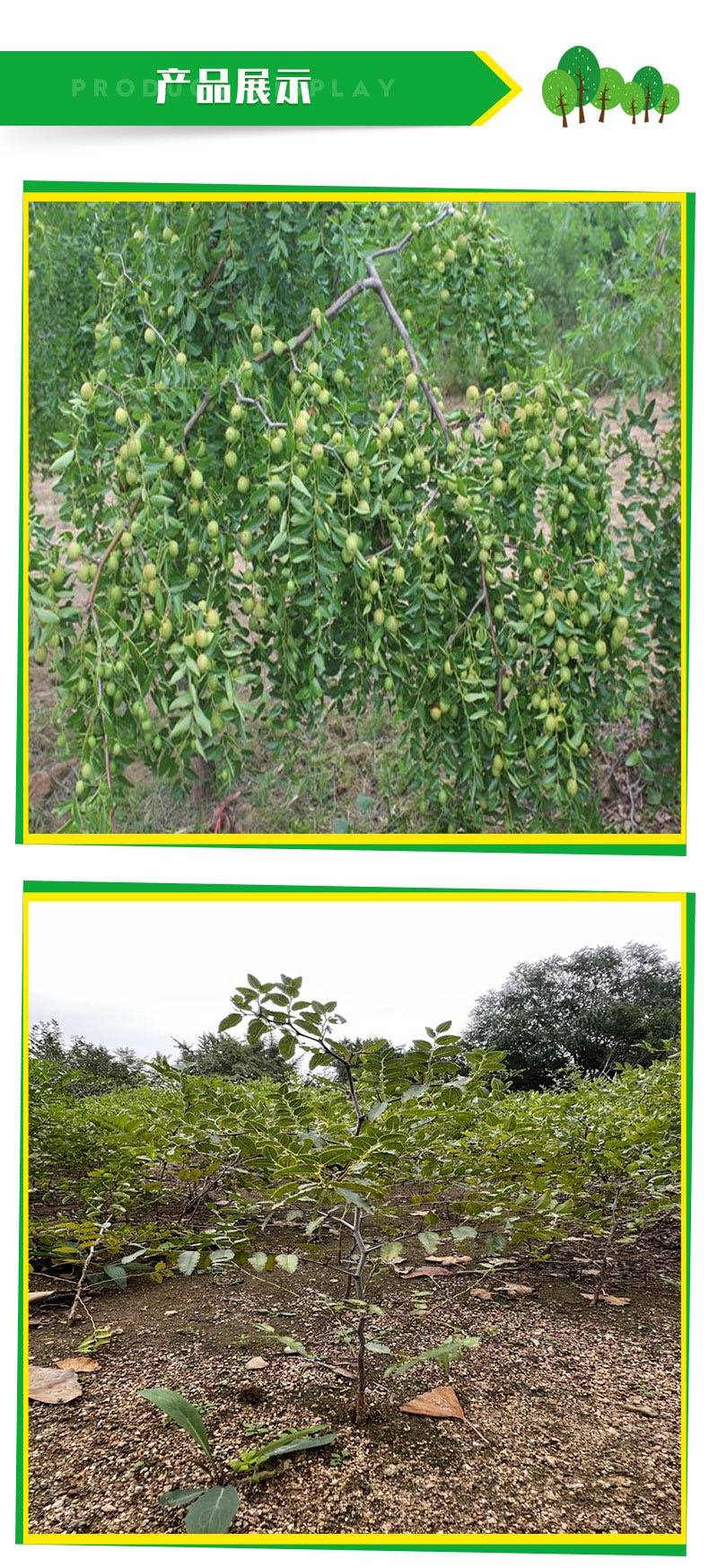 20231219/image/4tshjzu 838bakyfrxilfo. Jpg