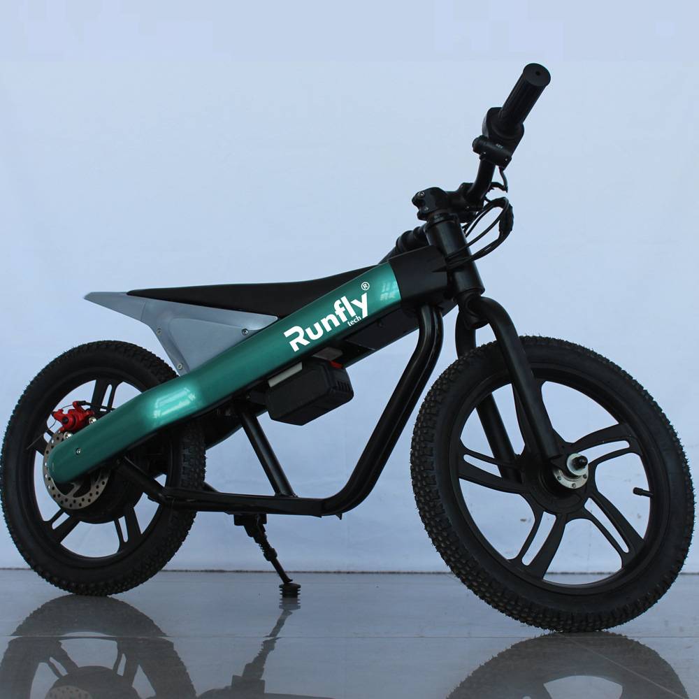 RUNFLYTECH 16INCH CHILD BALANC