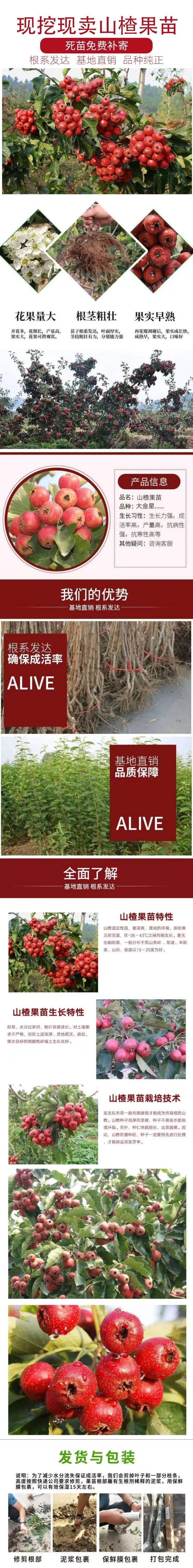 20250110/image/b1ox5vktsudp5vmrwl6rj. Jpg