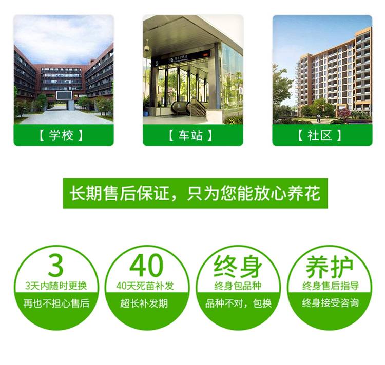 2020228/image/4v90dab33ypy9k6c4fjku. Jpg