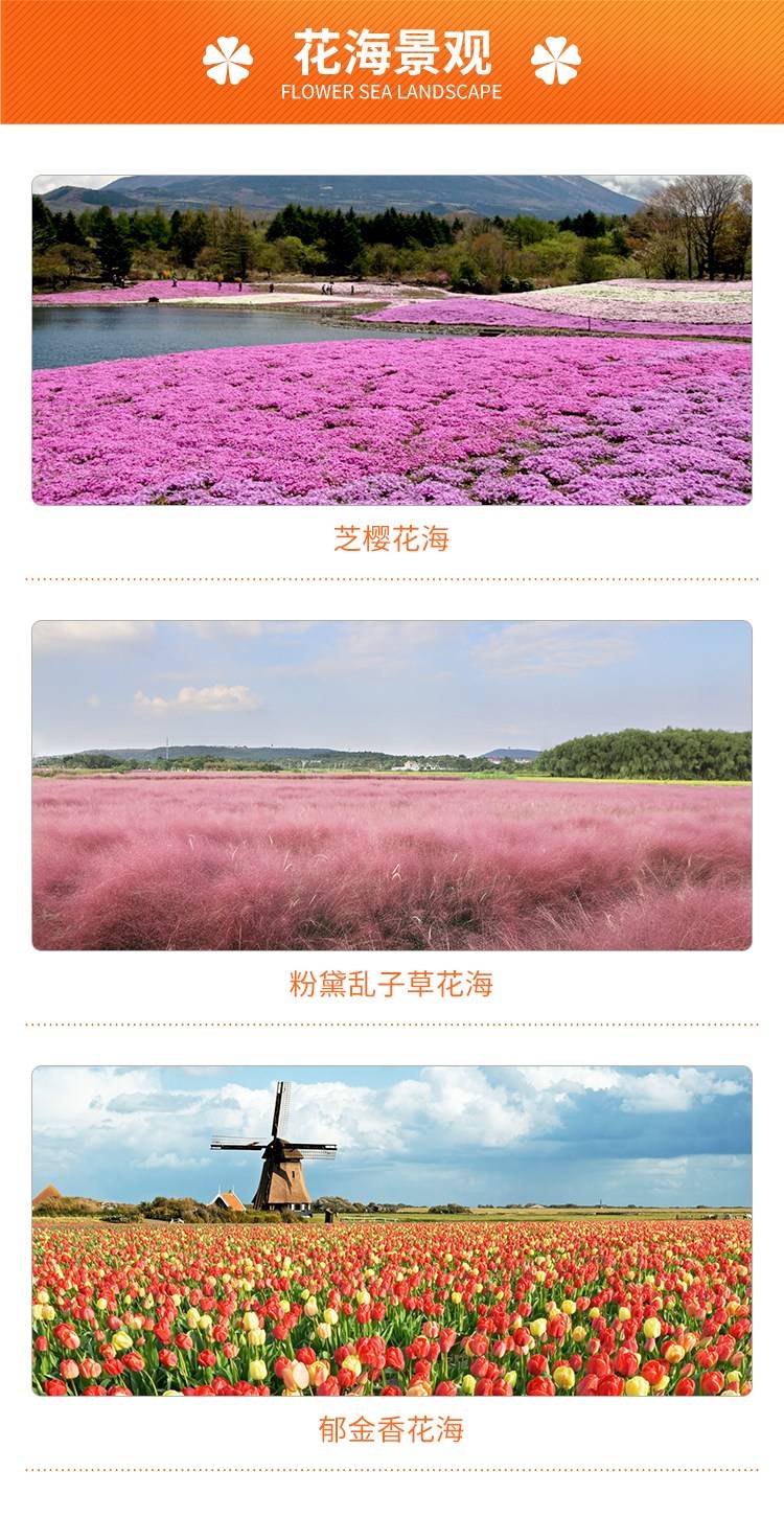 202428/image/6mosug6jcrefk0gdr6gkb. Jpg