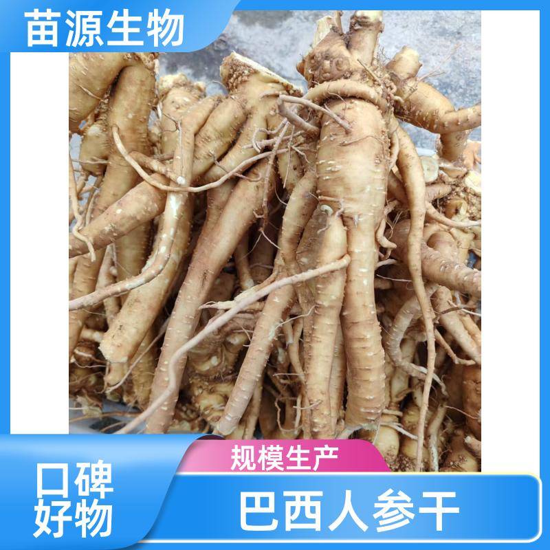 Image/2e3c20b5c895a2a8d610394969027e1d. Jpg