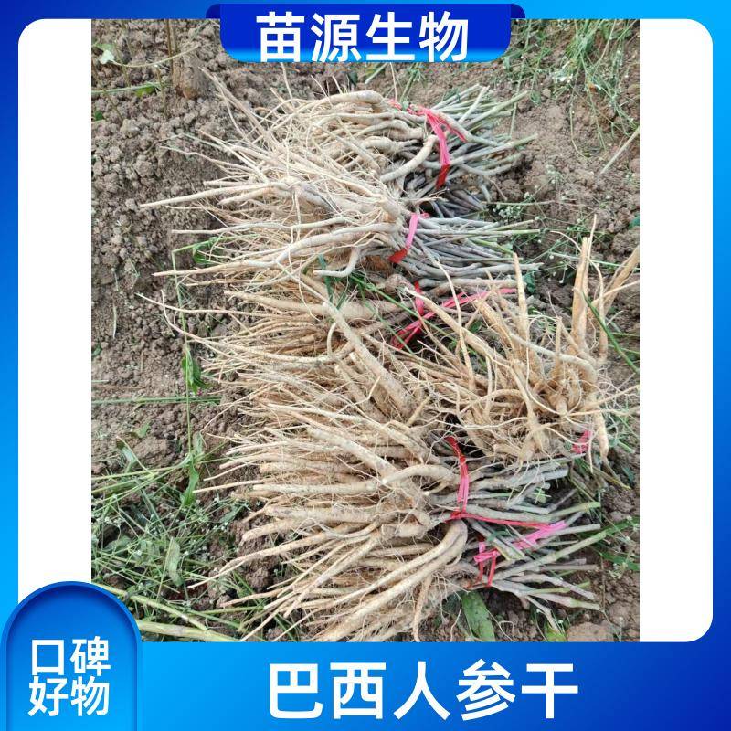 Image/f2ee01ab71f54aeb79173e7580d2c. Jpg