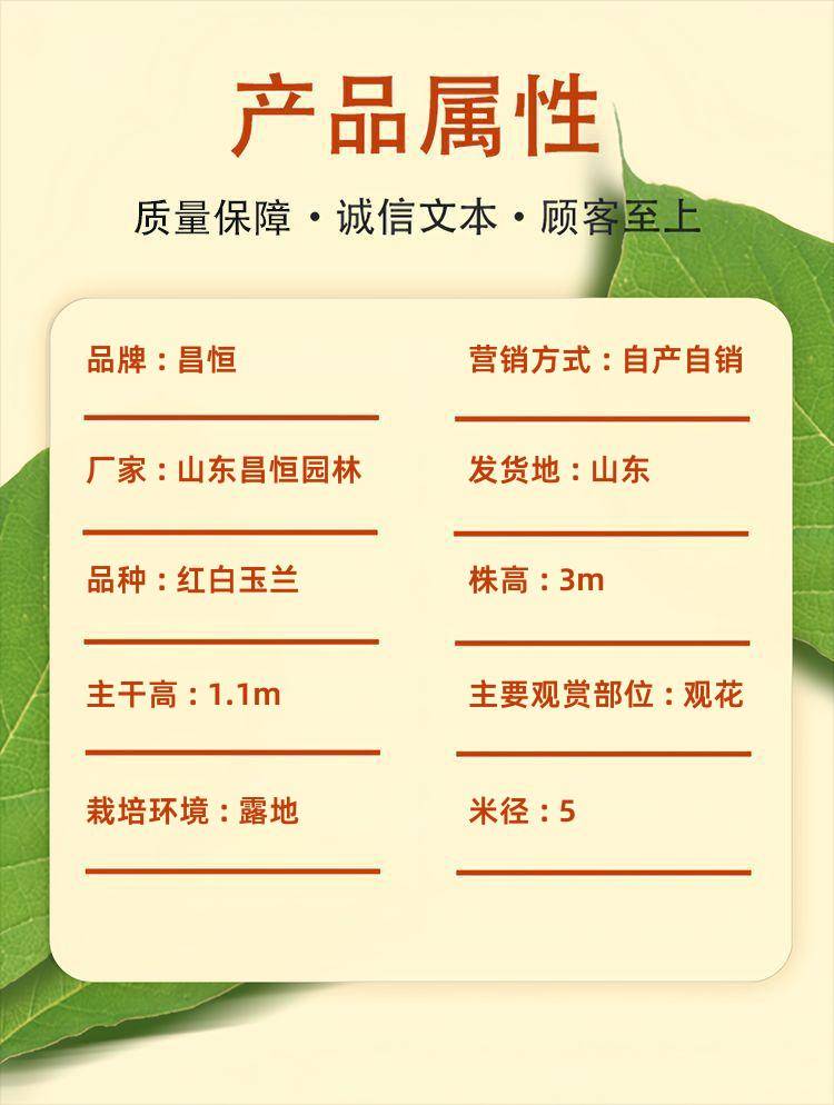 Detail pages/20250513/vzzgxbe6nhbs4580mgrf55v2hv2hkn1pjqkn76mrwkekkigkuygrb0tzgzrm7. Jpg