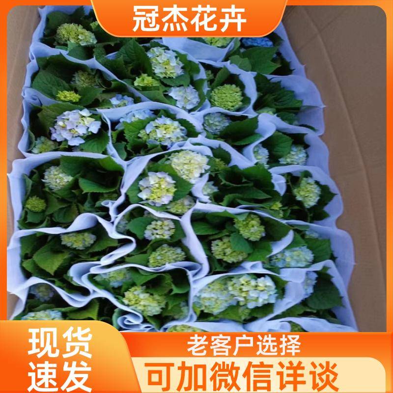 20240314/images/uj3qonrfew5cneoapjmh6yhiff6znnbxjzb3k4qv. Jpg