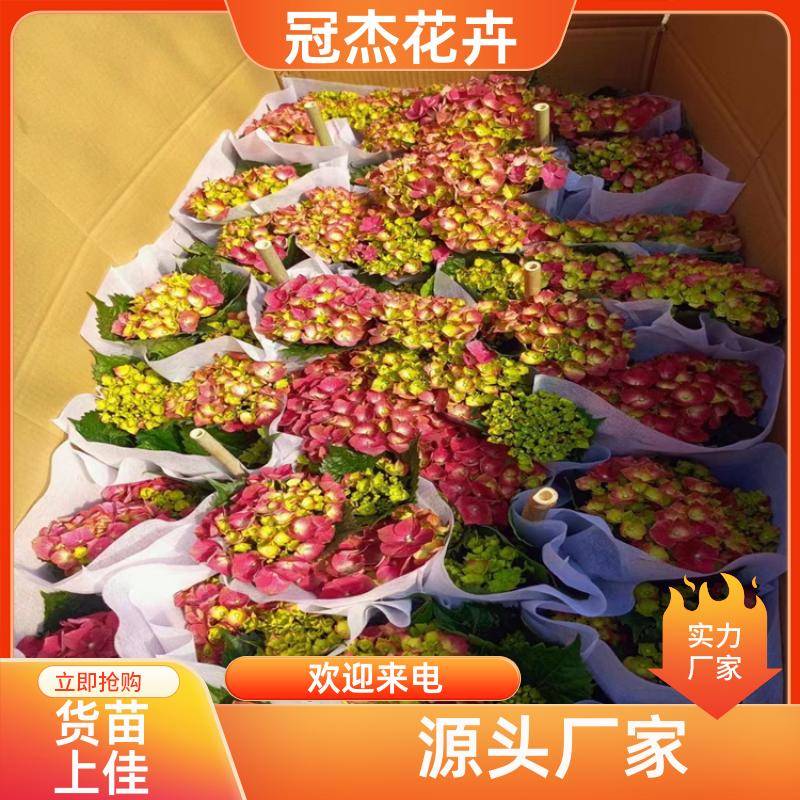 20240314/images/qjhy1geh0agfkvhgm5wtsq6txwandtybjzx7ew. Jpg