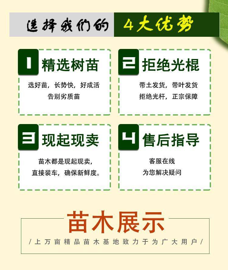 Detail pages/202400910/sqydvyl7p5kb1pkjs0soxbx9bmek9xzywxld3m1amiffxs8qrflsqcn0g70to. Jpg