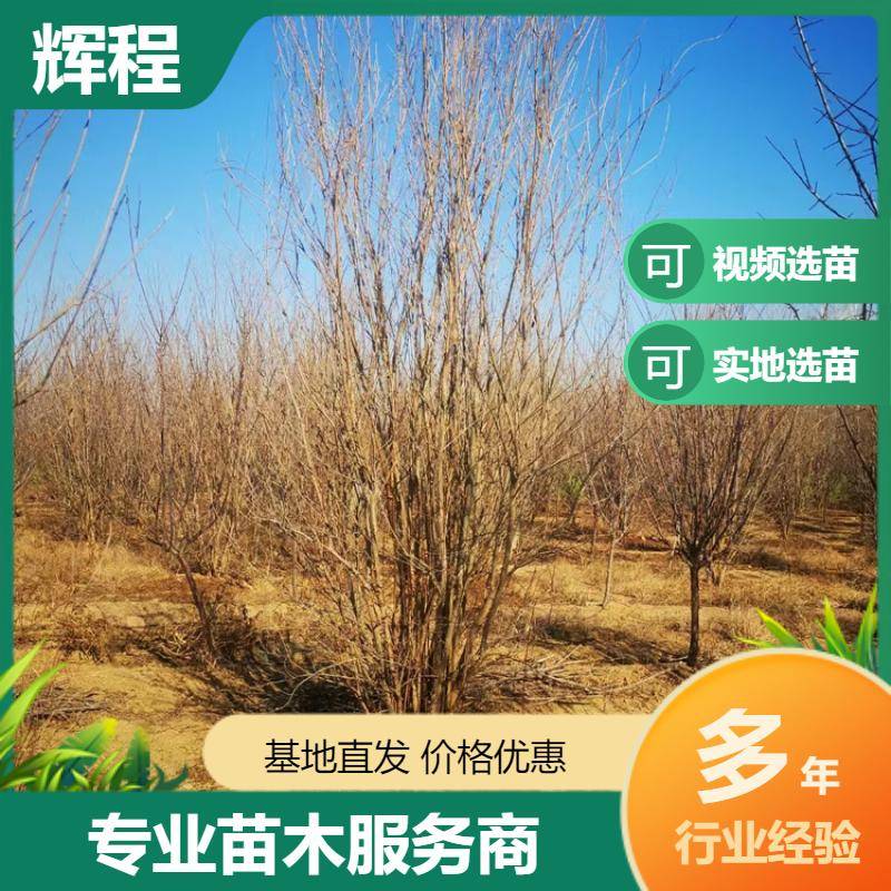 20250056/image/wmer7bg7xc5caddedovqwkf2xtczbxdnahxlecswlc81xwo7otra3bctvdls. Jpg