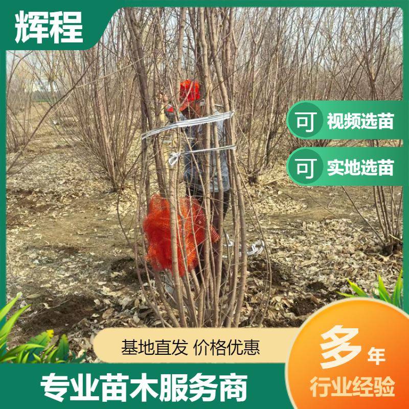 20250056/image/snbz5u3ntllklofzipumlwcwncjozm4vb6ceuw5ktabfg8frscdvszijhtcl. Jpg