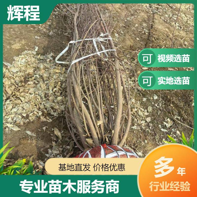 2020506/image/8hqd3 akcwzhj8you2jnl20yjxpeqmgkbsczu2tmvrfxpnxtfi7cfba41jl. Jpg